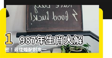 1987是什麼生肖|1987是民國幾年？1987是什麼生肖？1987幾歲？